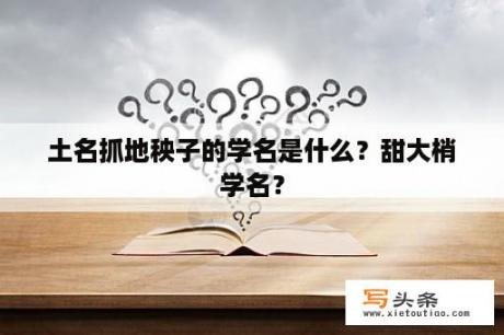 土名抓地秧子的学名是什么？甜大梢学名？