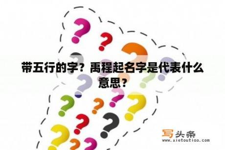 带五行的字？禹程起名字是代表什么意思？