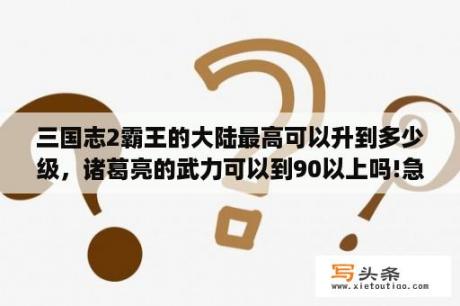 三国志2霸王的大陆最高可以升到多少级，诸葛亮的武力可以到90以上吗!急？手机的三国志2霸王的大陆阿会南怎么复制，伊籍变身不了？