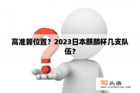 高准翼位置？2023日本麒麟杯几支队伍？