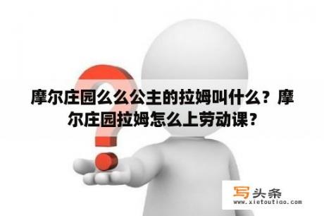 摩尔庄园么么公主的拉姆叫什么？摩尔庄园拉姆怎么上劳动课？