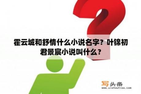 霍云城和舒情什么小说名字？叶锦初君景宸小说叫什么？