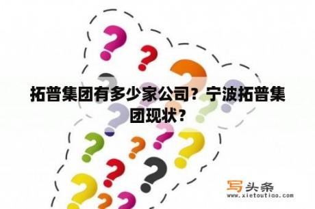 拓普集团有多少家公司？宁波拓普集团现状？