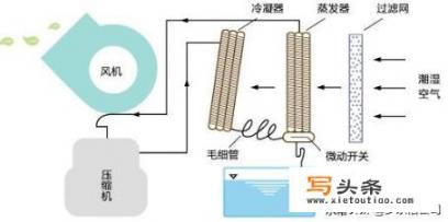 请问除湿器哪个牌子好？除湿机什么原理的好？