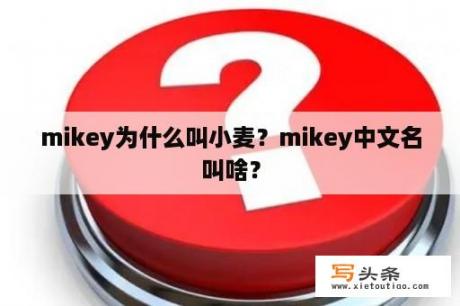 mikey为什么叫小麦？mikey中文名叫啥？