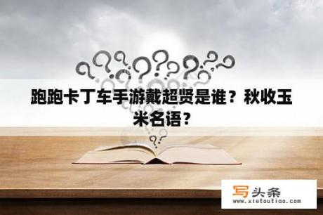 跑跑卡丁车手游戴超贤是谁？秋收玉米名语？