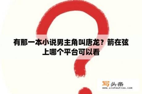 有那一本小说男主角叫唐龙？箭在弦上哪个平台可以看