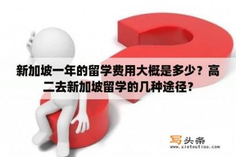 新加坡一年的留学费用大概是多少？高二去新加坡留学的几种途径？