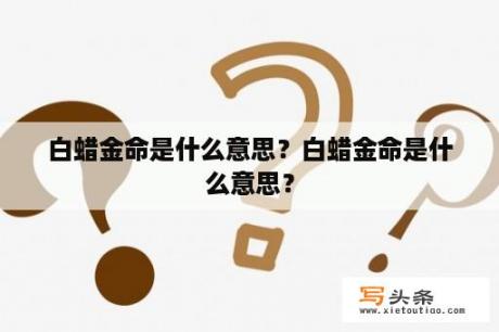 白蜡金命是什么意思？白蜡金命是什么意思？