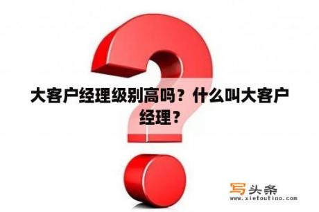 大客户经理级别高吗？什么叫大客户经理？