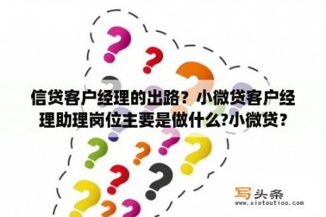 信贷客户经理的出路？小微贷客户经理助理岗位主要是做什么?小微贷？