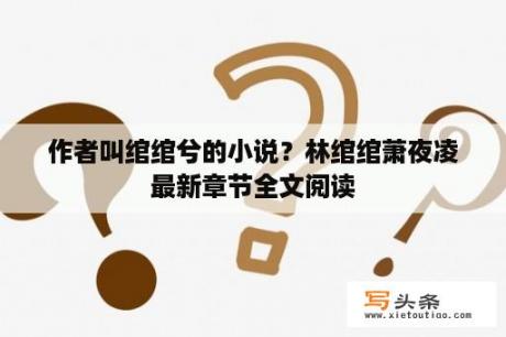 作者叫绾绾兮的小说？林绾绾萧夜凌最新章节全文阅读