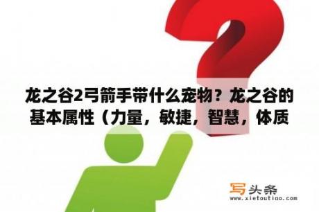 龙之谷2弓箭手带什么宠物？龙之谷的基本属性（力量，敏捷，智慧，体质）？加这些属性分别有什么作用？