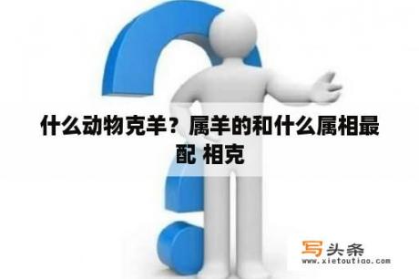 什么动物克羊？属羊的和什么属相最配 相克