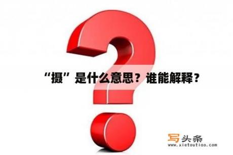 “摄”是什么意思？谁能解释？