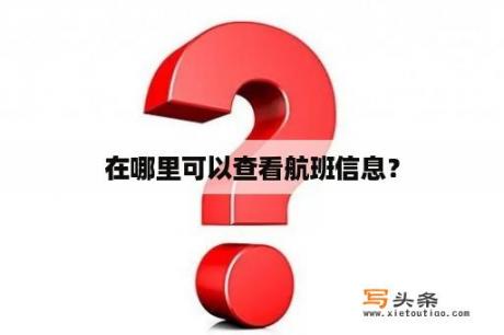 在哪里可以查看航班信息？