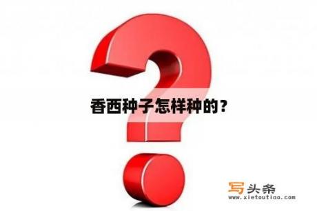 香西种子怎样种的？