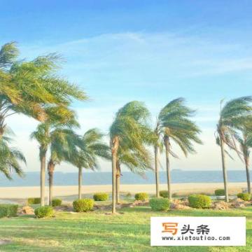 厦门1日游必往的5 个景点？