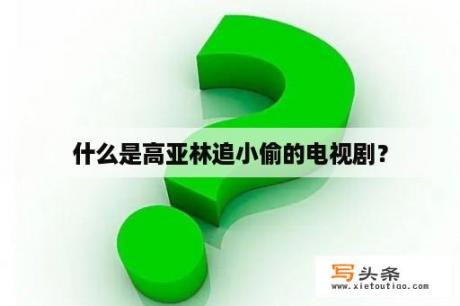 什么是高亚林追小偷的电视剧？