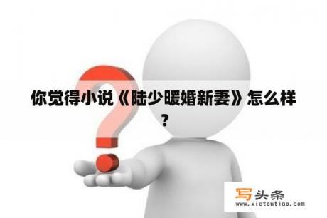 你觉得小说《陆少暖婚新妻》怎么样？