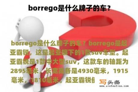 borrego是什么牌子的车？