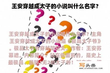 王安穿越成太子的小说叫什么名字？