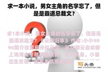 求一本小说，男女主角的名字忘了，但是是霸道总裁文？