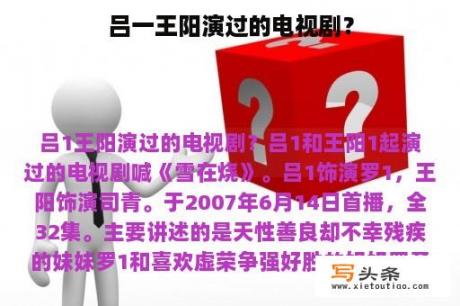 吕一王阳演过的电视剧？