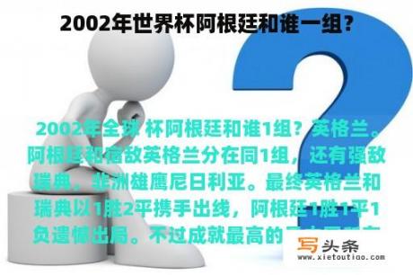 2002年世界杯阿根廷和谁一组？