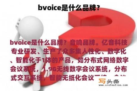 bvoice是什么品牌？