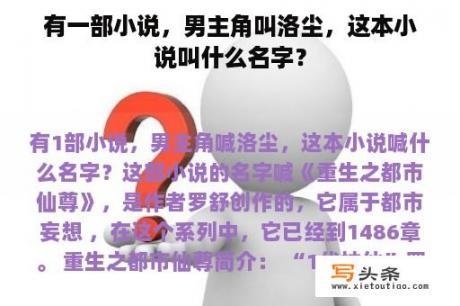 有一部小说，男主角叫洛尘，这本小说叫什么名字？