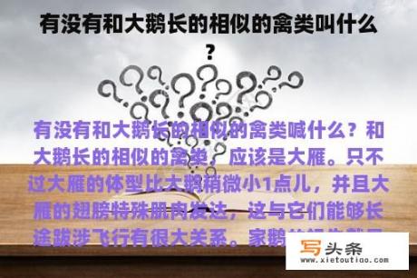 有没有和大鹅长的相似的禽类叫什么？