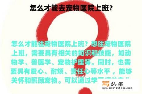 怎么才能去宠物医院上班？