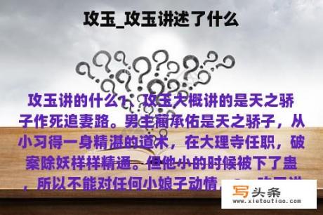 攻玉_攻玉讲述了什么