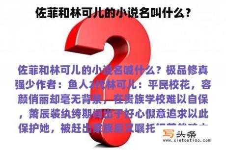 佐菲和林可儿的小说名叫什么？
