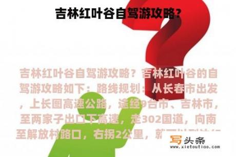 吉林红叶谷自驾游攻略？