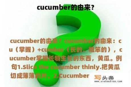 cucumber的由来？