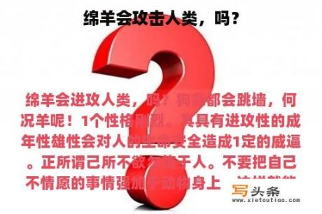 绵羊会攻击人类，吗？