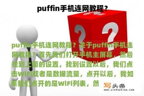 puffin手机连网教程？