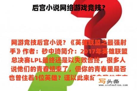 后宫小说网络游戏竞技？