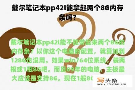 戴尔笔记本pp42l能拿起两个8G内存条吗？