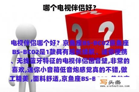 哪个电视伴侣好？