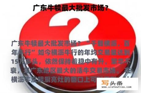 广东牛犊最大批发市场？