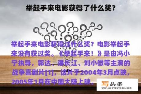 举起手来电影获得了什么奖？