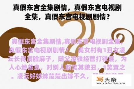 真假东宫全集剧情，真假东宫电视剧全集，真假东宫电视剧剧情？