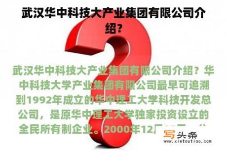 武汉华中科技大产业集团有限公司介绍？