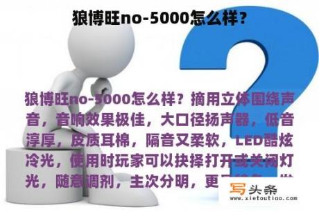 狼博旺no-5000怎么样？