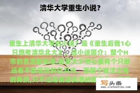 清华大学重生小说？