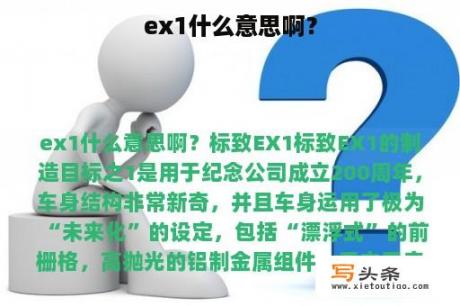 ex1什么意思啊？