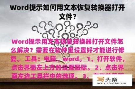 Word提示如何用文本恢复转换器打开文件？